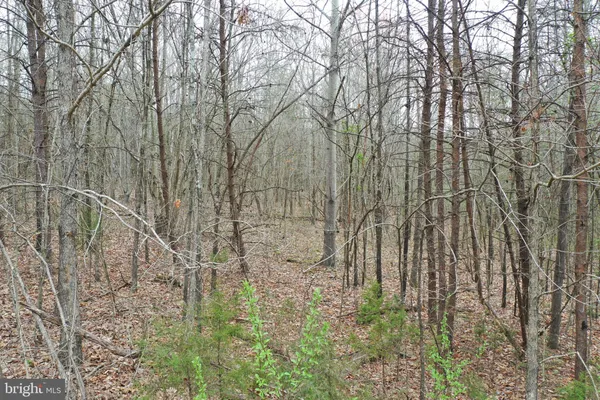 $98,000 | Oakland Road, Louisa, VA 23093