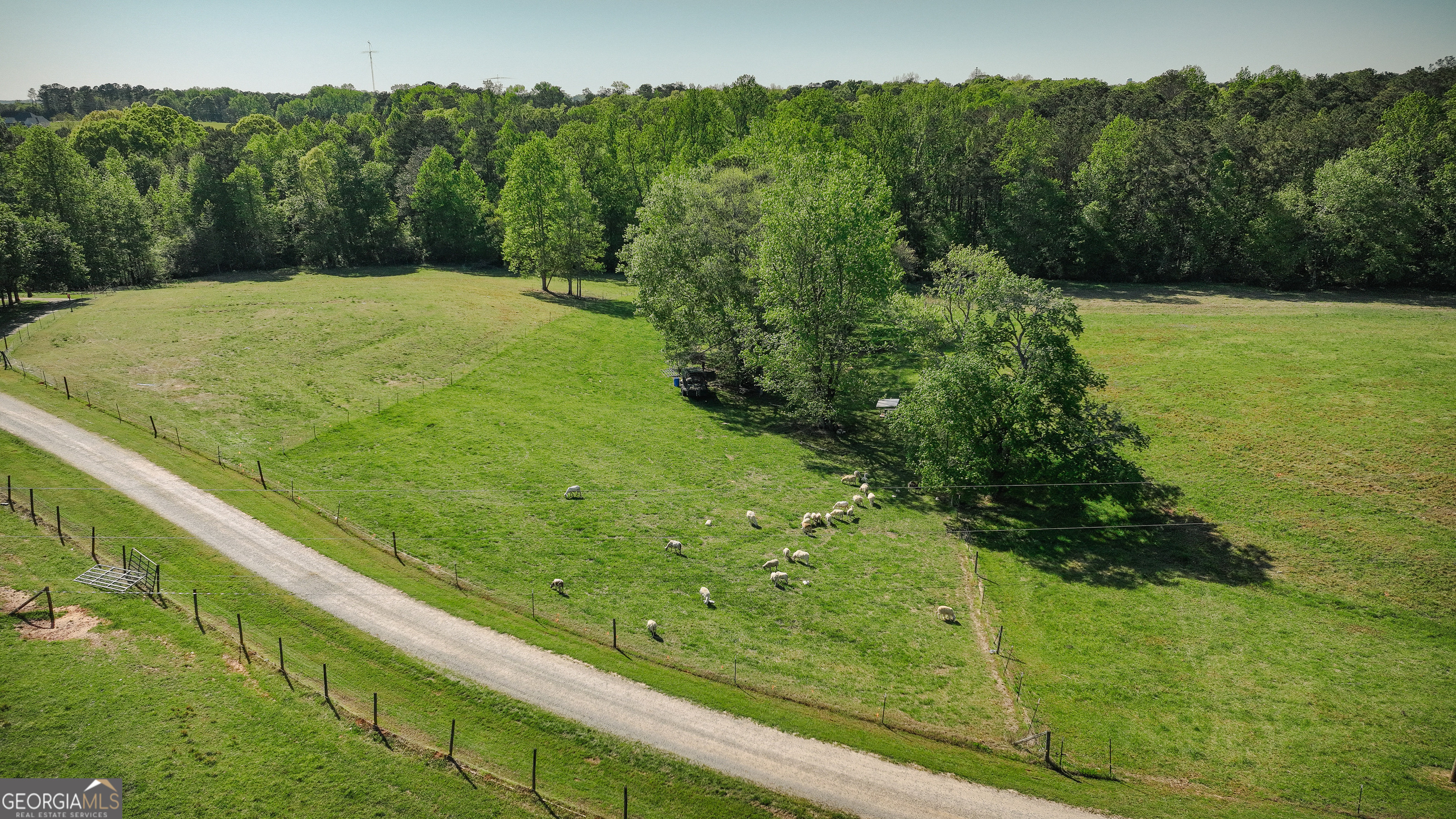 201 Little New York Road Carrollton, GA 30116 - Photo 11 of 29 a view of a yard with a lake