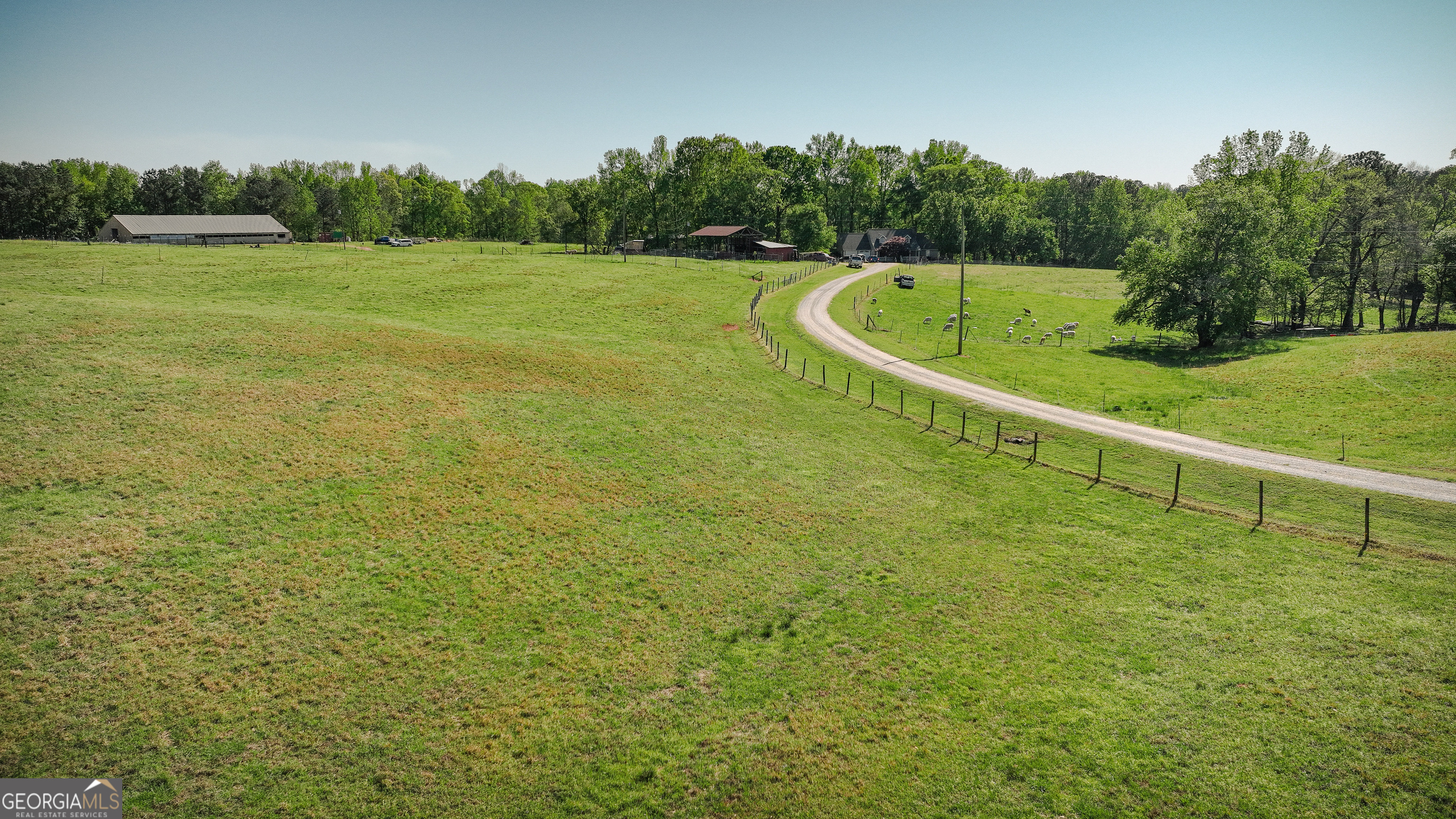 201 Little New York Road Carrollton, GA 30116 - Photo 7 of 29 a view of a big yard with a large trees