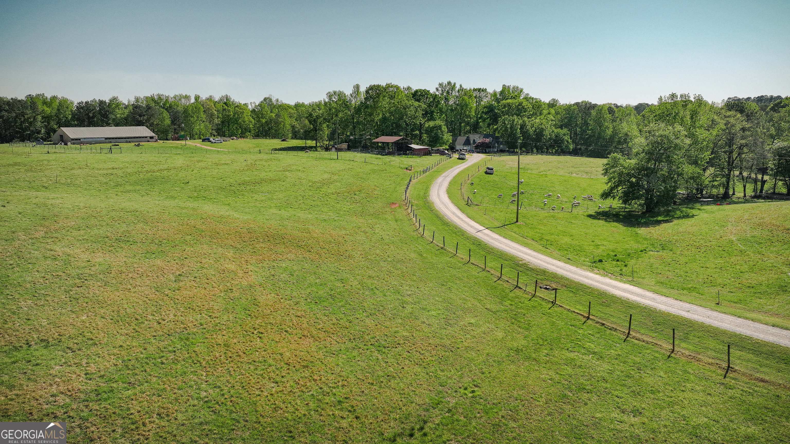 201 Little New York Road Carrollton, GA 30116 - Photo 8 of 29 a view of a big yard with a large trees