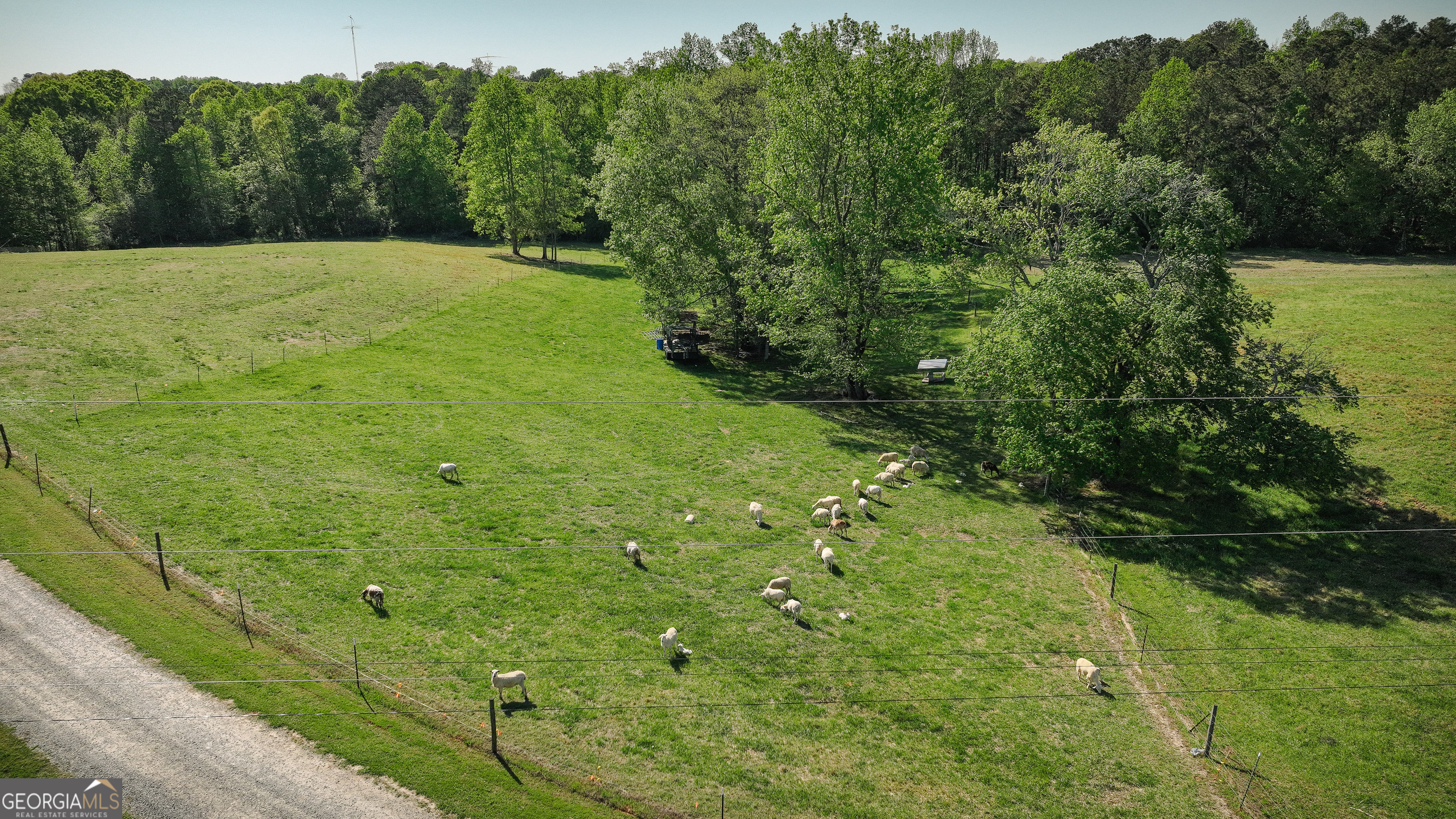 201 Little New York Road Carrollton, GA 30116 - Photo 10 of 29 a view of a green yard with large trees