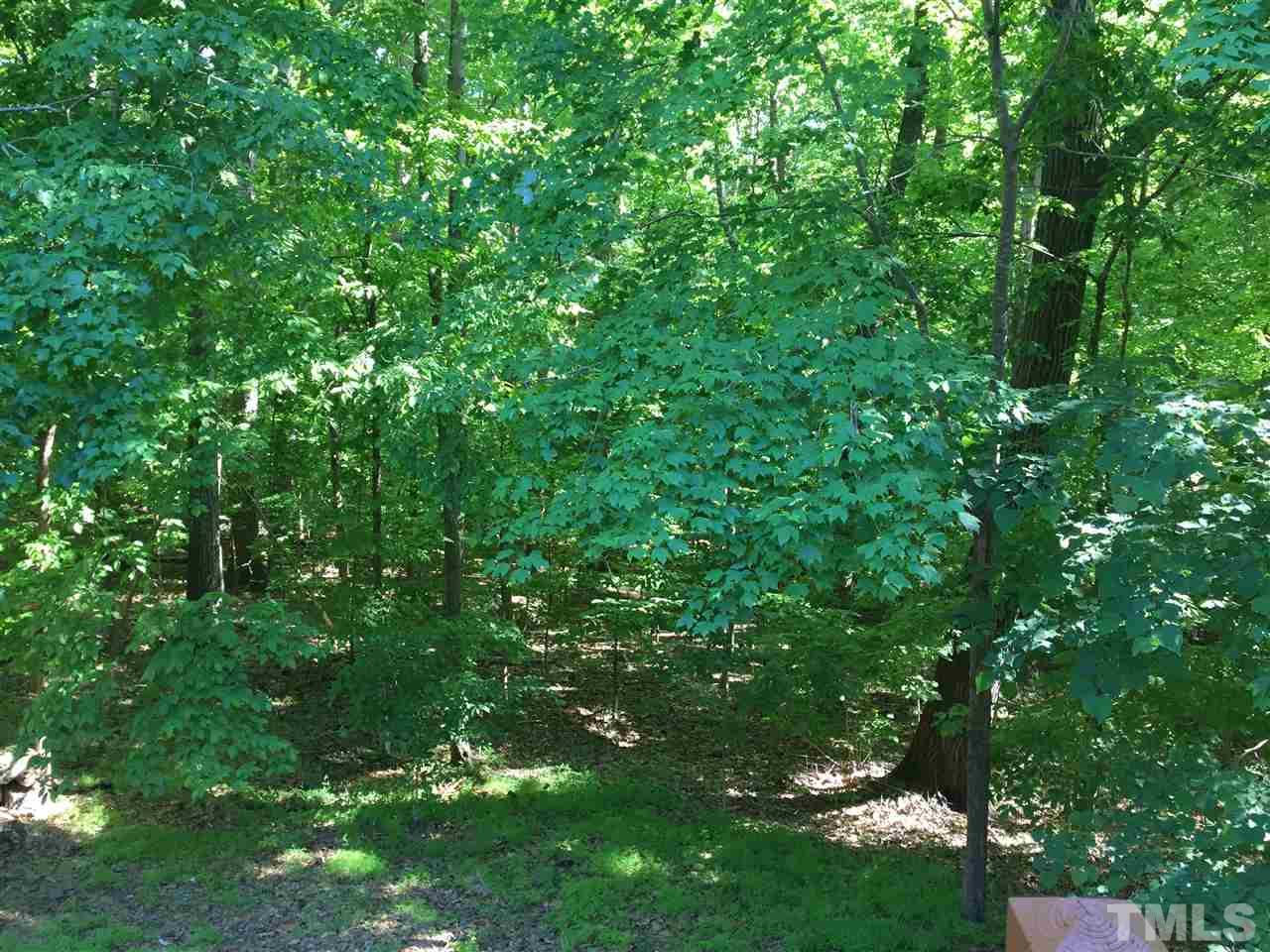11917 Eagle Bluff Circle Raleigh, NC 27613 - Photo 21 of 25 a view of a lush green forest