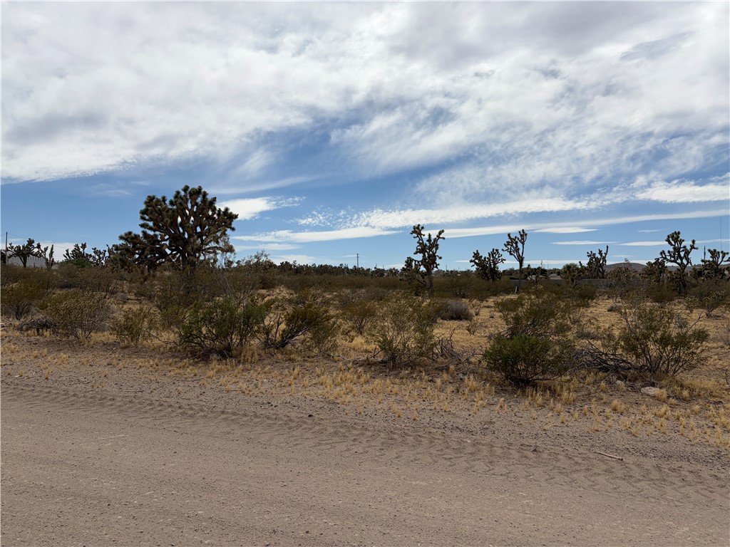 17773 Laurel Road Dolan Springs, AZ 86441 - Photo 1 of 9