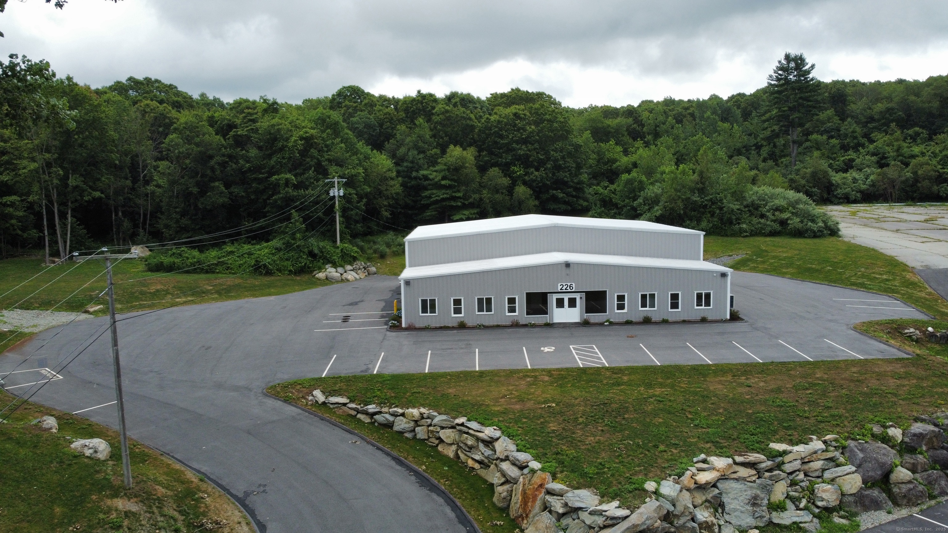 a view of a big yard with potted plants and large tree