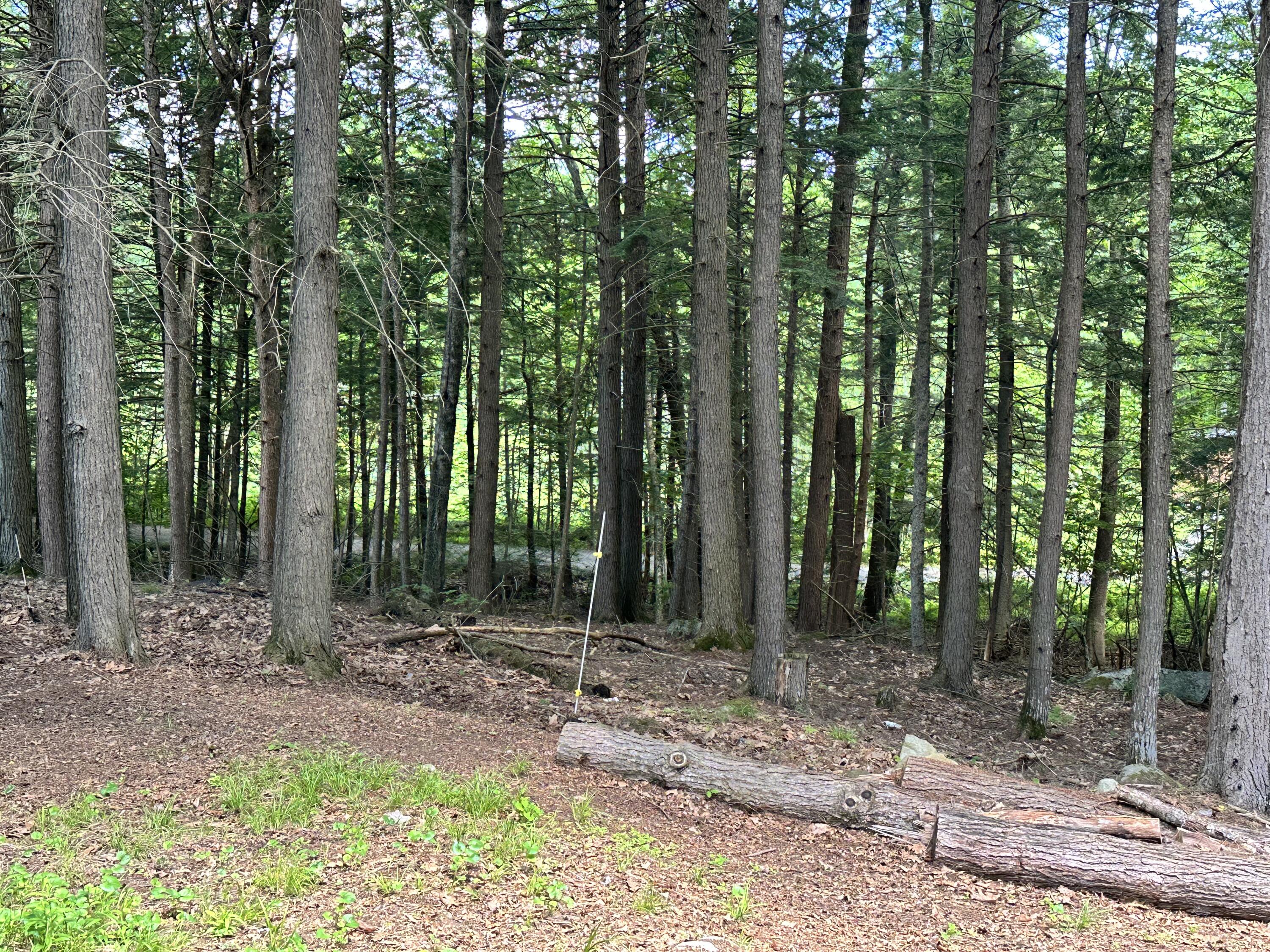 243 Collins Mills Road West Gardiner, ME 04345 - Photo 12 of 29 11