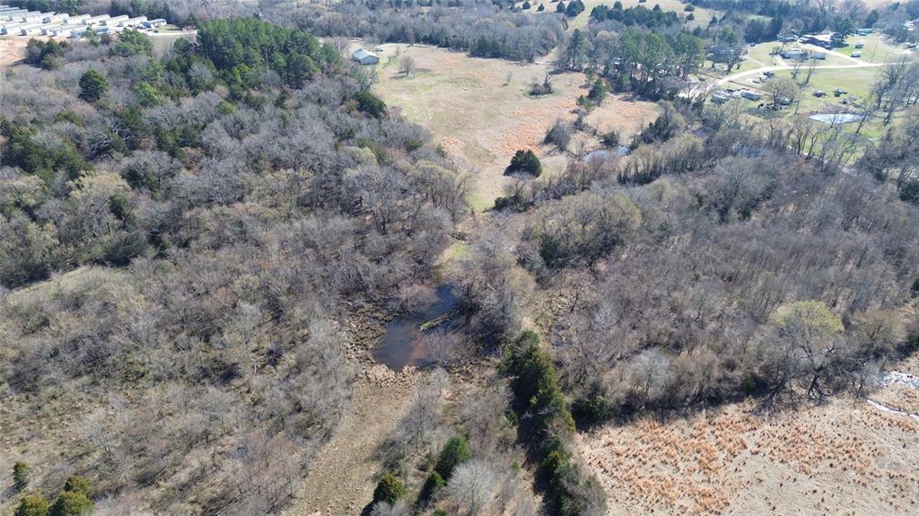 Lot 6 Rains Cr1140 Road Emory, TX 75440 - Photo 5 of 5 a view of a dry yard with trees