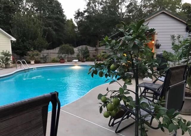 ext pool clean 98585