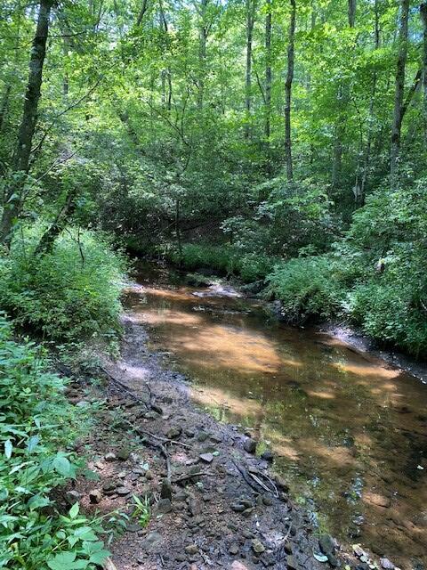 16 Old Parker Road Altamont, TN 37301 - Photo 1 of 9 BaRa 7
