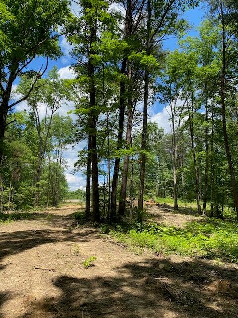 16 Old Parker Road Altamont, TN 37301 - Photo 2 of 9 BaRa 6