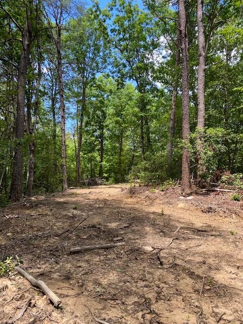 16 Old Parker Road Altamont, TN 37301 - Photo 4 of 9 BaRa 9