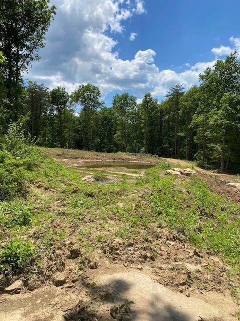 16 Old Parker Road Altamont, TN 37301 - Photo 5 of 9 BaRa 4