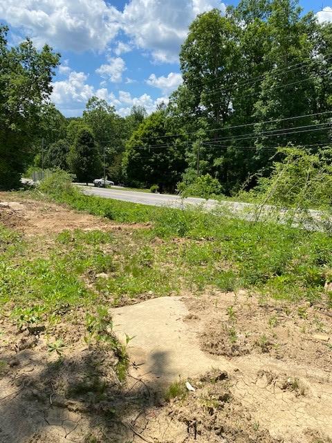 16 Old Parker Road Altamont, TN 37301 - Photo 6 of 9 BaRa 5