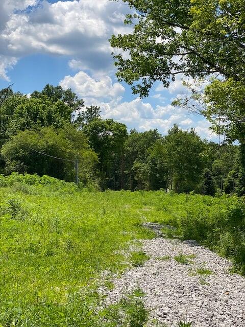 16 Old Parker Road Altamont, TN 37301 - Photo 7 of 9 BaRa 1