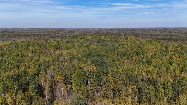 $79,900 | 1-xxx 460th Lane, Palisade, MN 56469