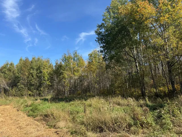 $79,900 | 1-xxx 460th Lane, Palisade, MN 56469