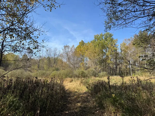 $79,900 | 1-xxx 460th Lane, Palisade, MN 56469