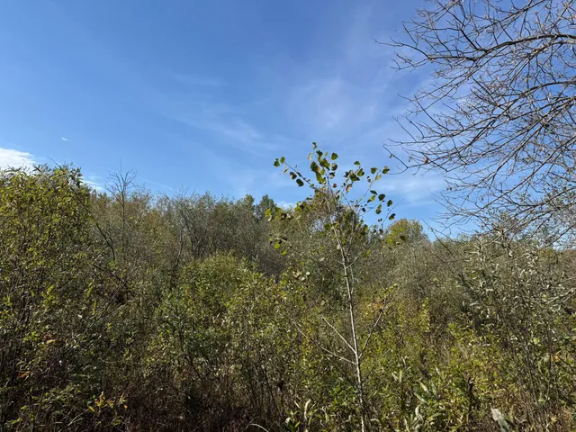 $79,900 | 1-xxx 460th Lane, Palisade, MN 56469