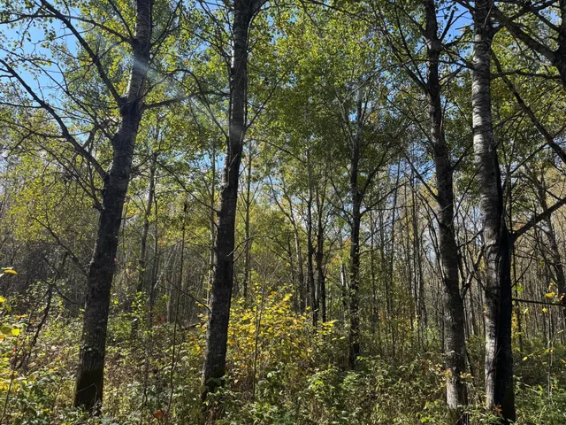 $79,900 | 1-xxx 460th Lane, Palisade, MN 56469