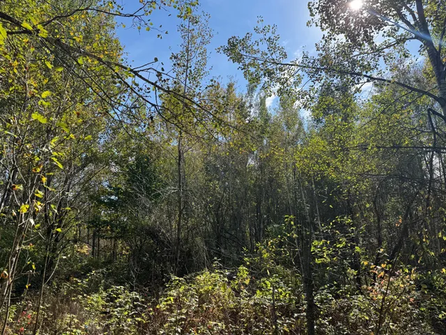 $79,900 | 1-xxx 460th Lane, Palisade, MN 56469