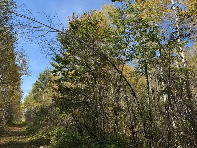 $79,900 | 1-xxx 460th Lane, Palisade, MN 56469