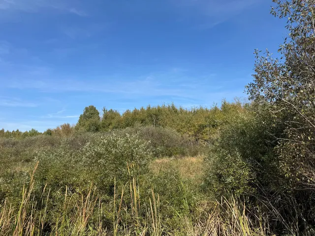 $79,900 | 1-xxx 460th Lane, Palisade, MN 56469