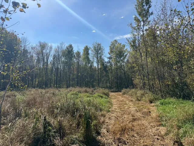 $79,900 | 1-xxx 460th Lane, Palisade, MN 56469