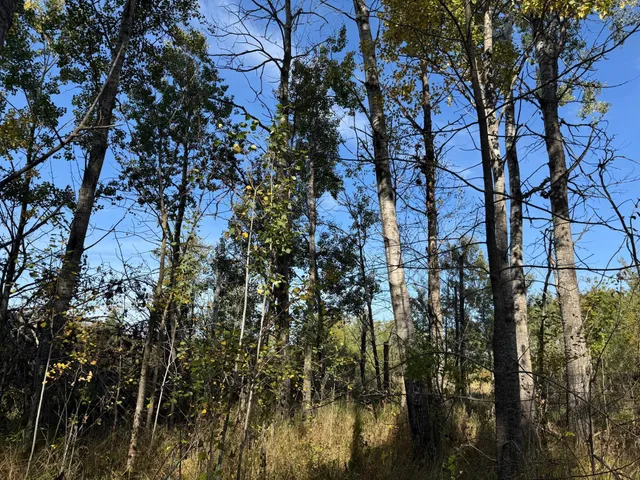 $79,900 | 1-xxx 460th Lane, Palisade, MN 56469