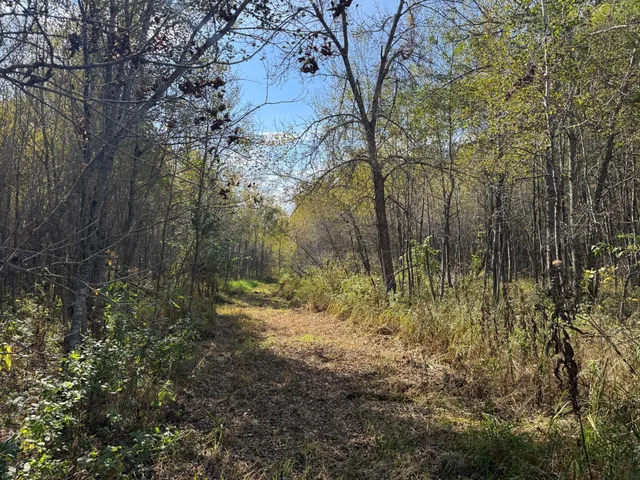 $79,900 | 1-xxx 460th Lane, Palisade, MN 56469