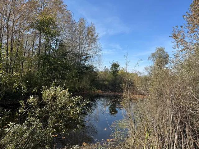 $79,900 | 1-xxx 460th Lane, Palisade, MN 56469