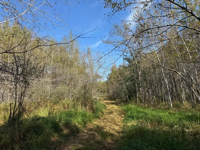 $79,900 | 1-xxx 460th Lane, Palisade, MN 56469