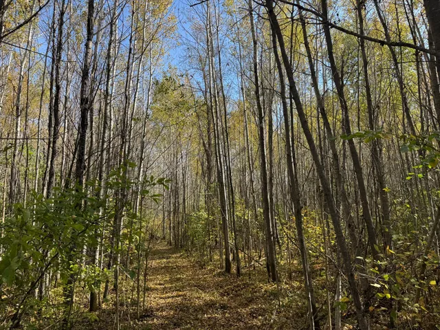 $79,900 | 1-xxx 460th Lane, Palisade, MN 56469