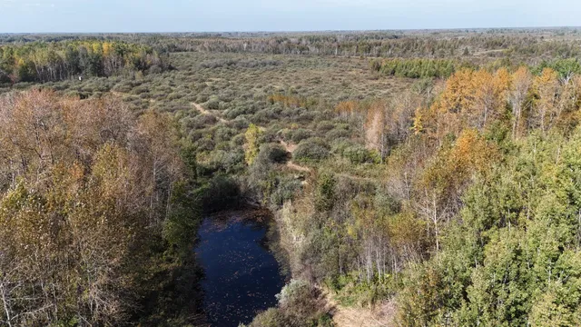 $79,900 | 1-xxx 460th Lane, Palisade, MN 56469