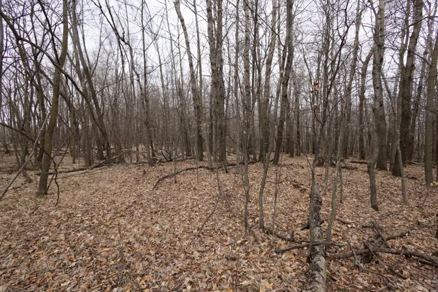 $55,000 | Lot 4 Sayler's Beach Road, Lake Park, MN 56554