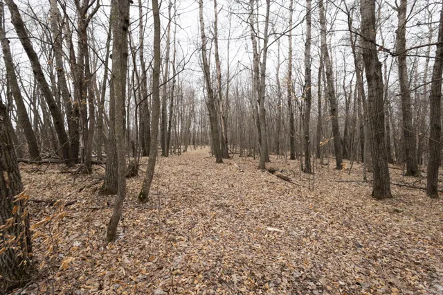 $55,000 | Lot 4 Sayler's Beach Road, Lake Park, MN 56554