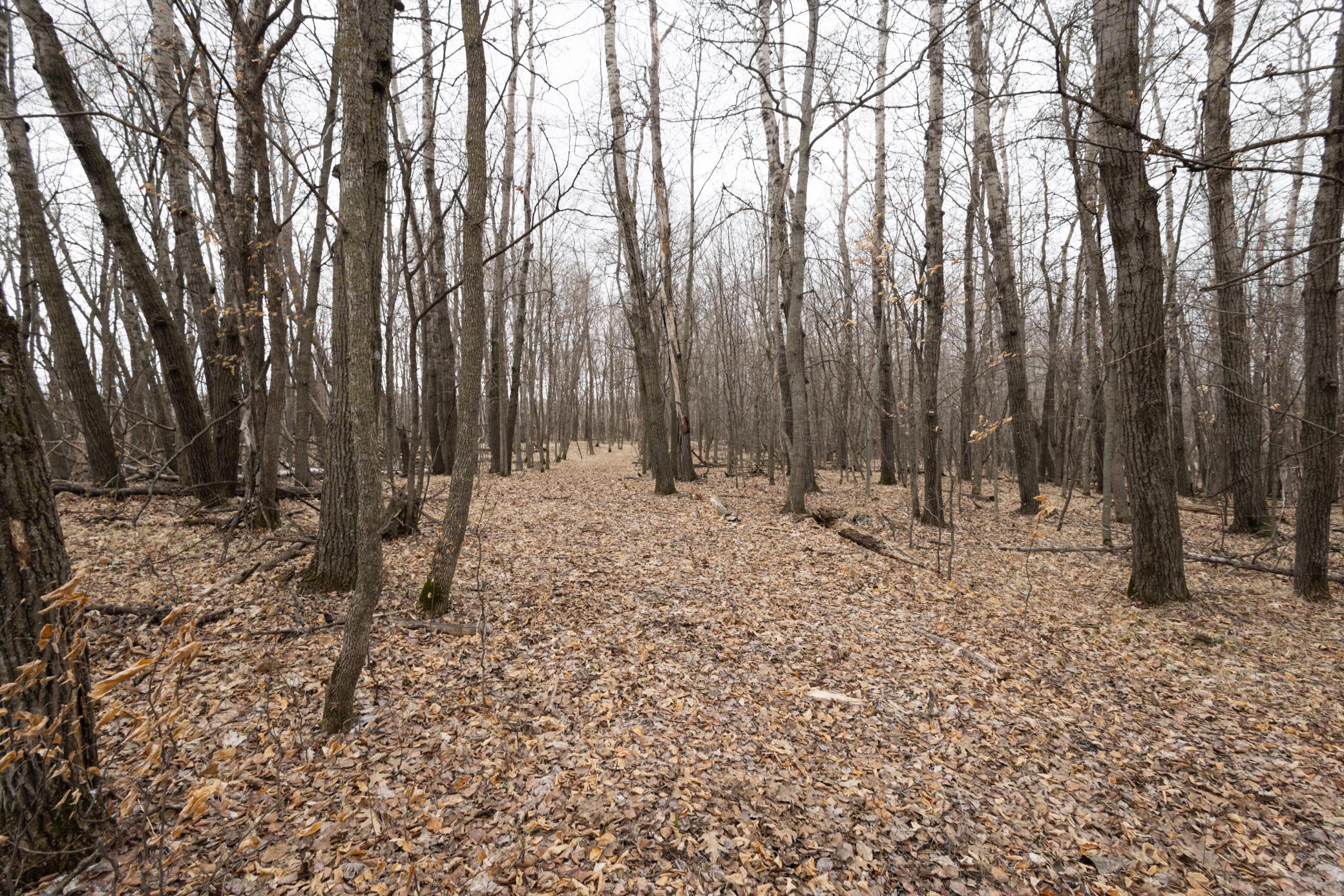 Lot 4 Sayler's Beach Road Lake Park, MN 56554 - Photo 6 of 9