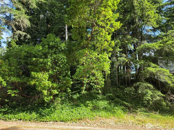 $35,000 | 140 Northeast Matthew Drive, Belfair, WA 98528