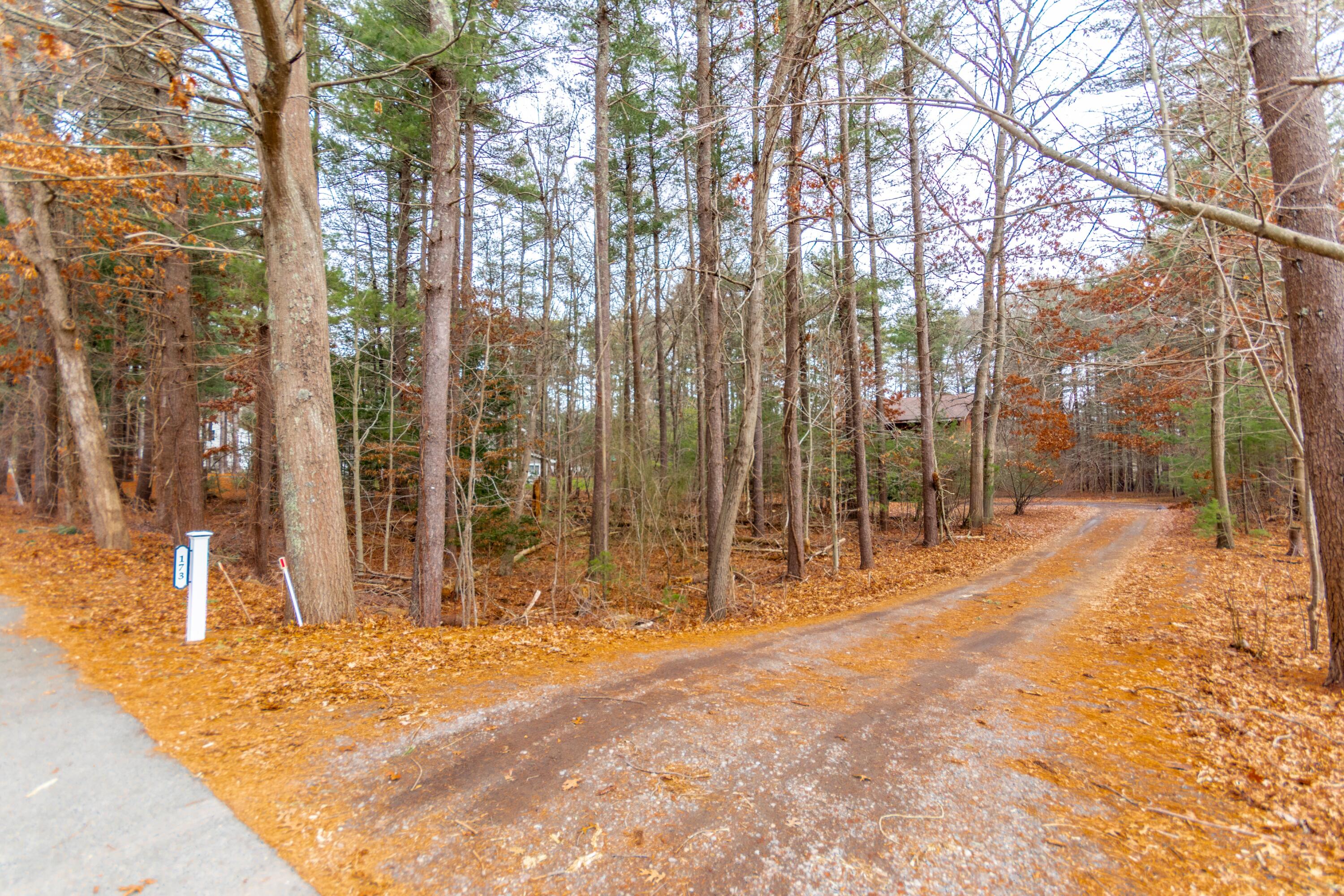 173 Titicut Road Raynham, MA 02767 - Photo 3 of 7 a view of backyard with trees