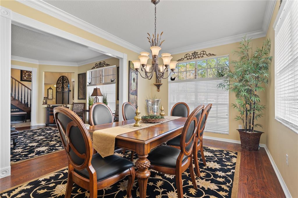 4202 Rotherham Court Palm Harbor, FL 34685 - Photo 11 of 61 a dining room with furniture a chandelier and wooden floor