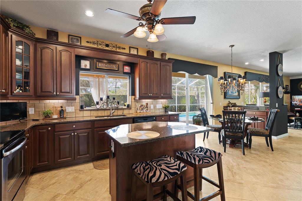 4202 Rotherham Court Palm Harbor, FL 34685 - Photo 13 of 61 a kitchen with a stove a sink a dining table and chairs
