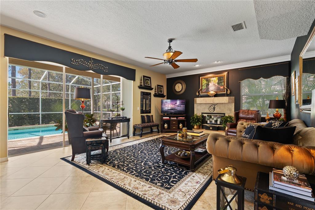 4202 Rotherham Court Palm Harbor, FL 34685 - Photo 18 of 61 a living room with furniture a fireplace and a floor to ceiling window