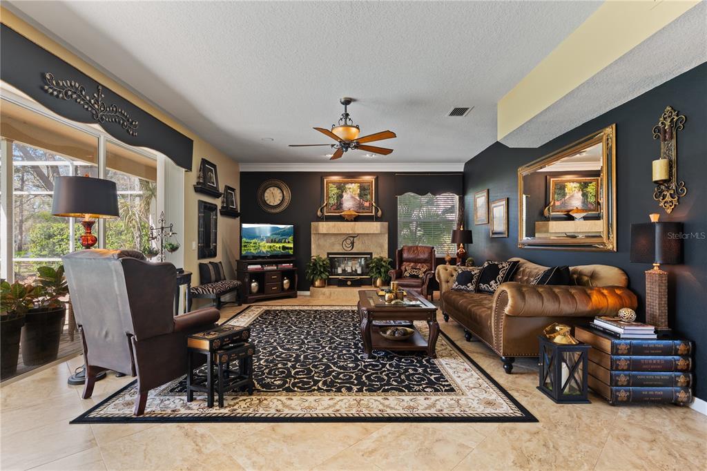 4202 Rotherham Court Palm Harbor, FL 34685 - Photo 19 of 61 a living room with furniture a fireplace and a large window
