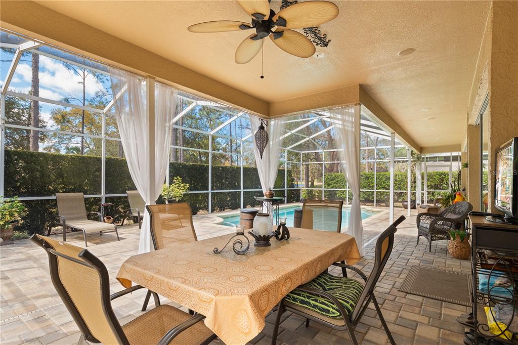 4202 Rotherham Court Palm Harbor, FL 34685 - Photo 23 of 61