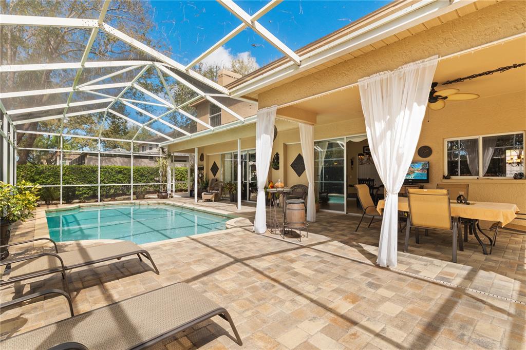 4202 Rotherham Court Palm Harbor, FL 34685 - Photo 24 of 61 a house view with a backyard space