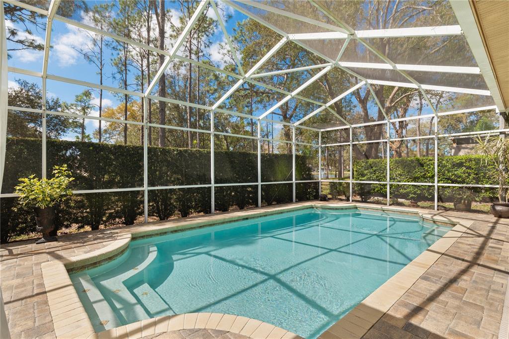 4202 Rotherham Court Palm Harbor, FL 34685 - Photo 25 of 61 a view of a room with gym equipment