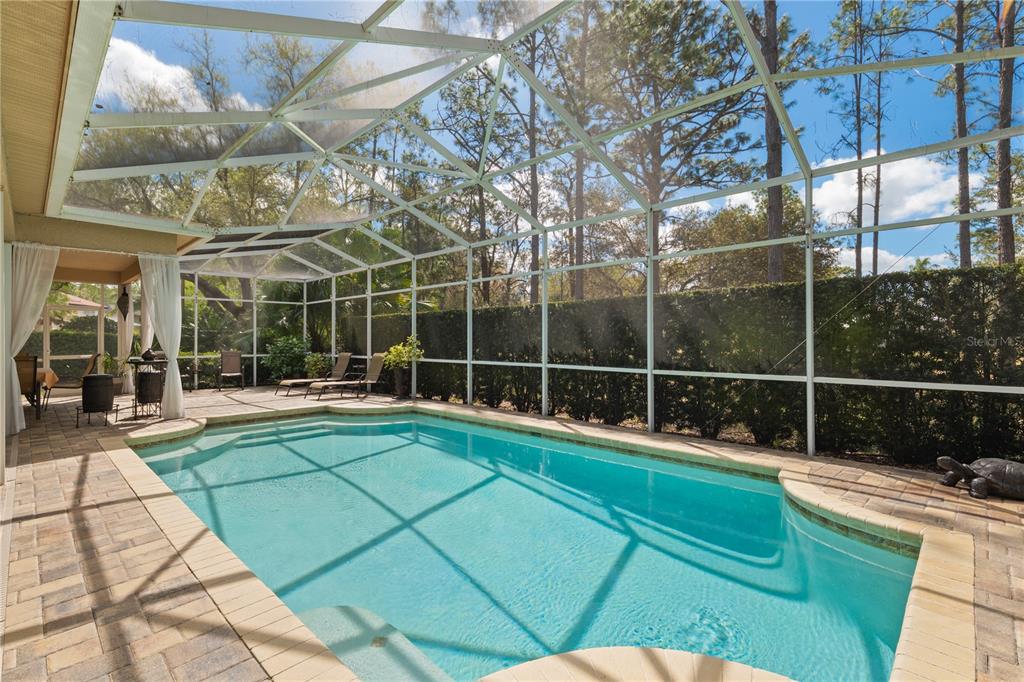 4202 Rotherham Court Palm Harbor, FL 34685 - Photo 26 of 61