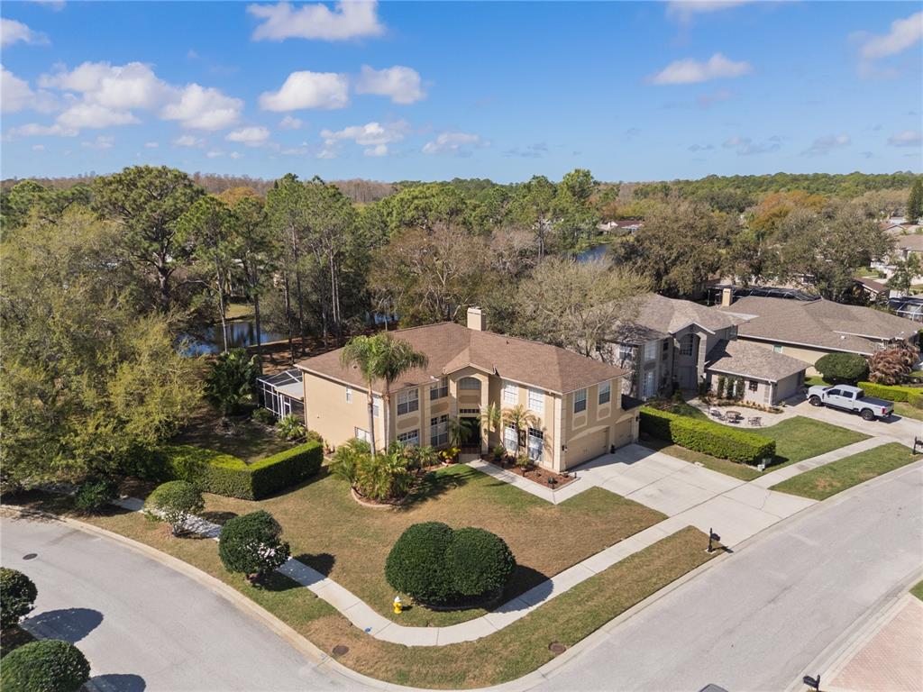 4202 Rotherham Court Palm Harbor, FL 34685 - Photo 3 of 61 a view of a house with a garden