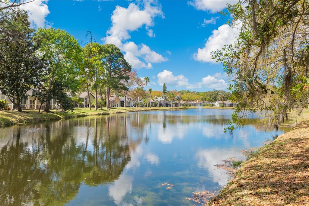 4202 Rotherham Court Palm Harbor, FL 34685 - Photo 43 of 61 a view of a lake with houses