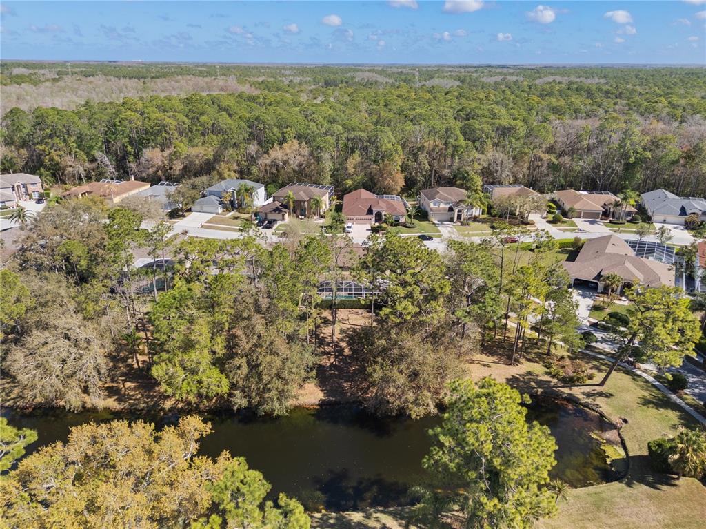 4202 Rotherham Court Palm Harbor, FL 34685 - Photo 45 of 61