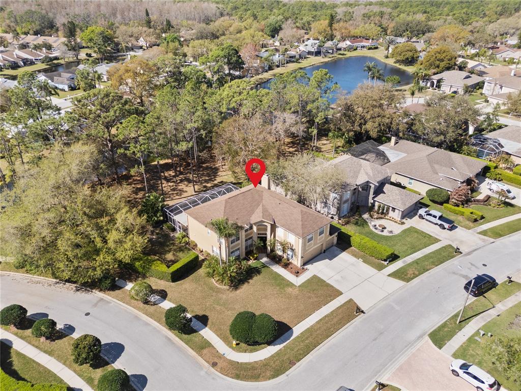 4202 Rotherham Court Palm Harbor, FL 34685 - Photo 50 of 61 an aerial view of a house with yard
