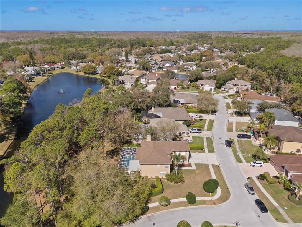 4202 Rotherham Court Palm Harbor, FL 34685 - Photo 52 of 61 an aerial view of residential house with outdoor space